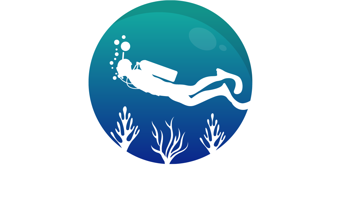 The logo of Impact Diver Simons Town
