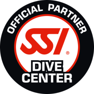 SSI Sive Center Logo