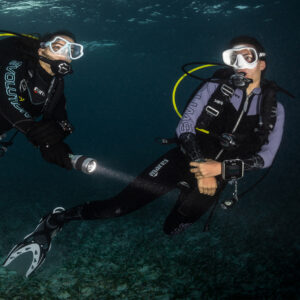 Night Dive