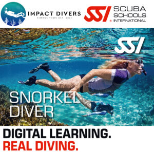 Snorkel Diver Program