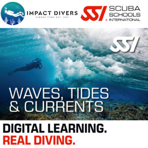 Waves, Tides & Currents