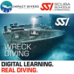 Wreck Diving